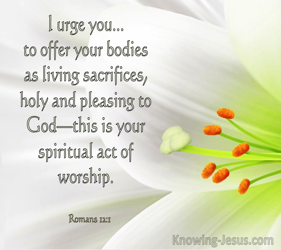 Romans 12:1 Offer Your Bodies As A Living Sacrifice To God (windows)11:10
